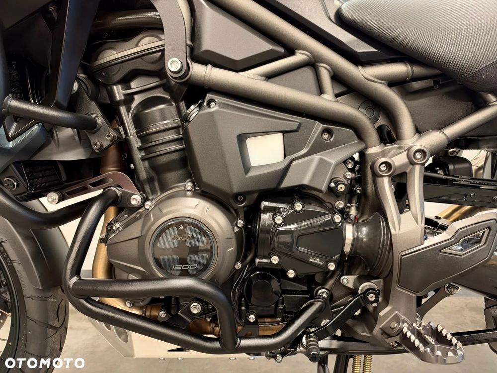 Triumph Tiger - 19