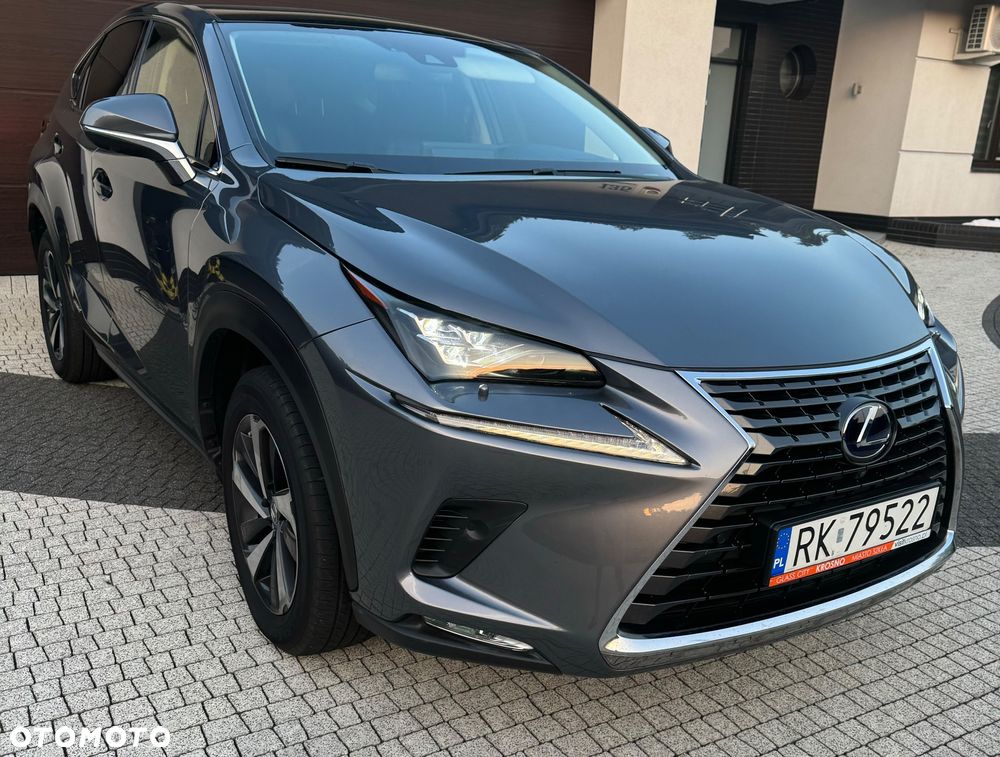 Lexus NX 350h Business AWD - 2