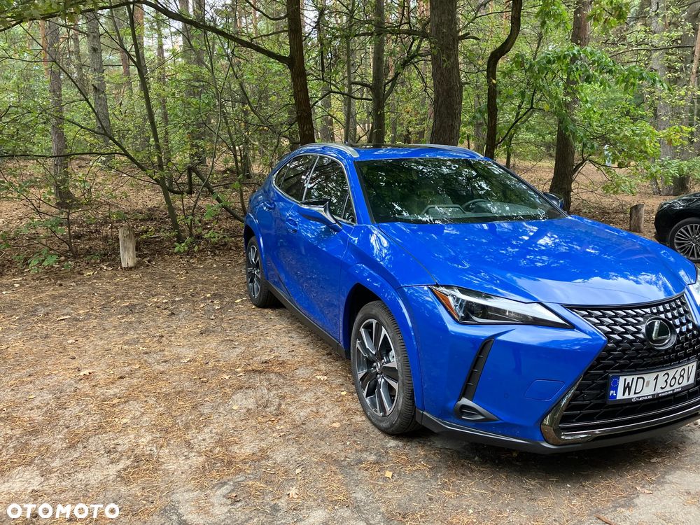 Lexus UX 300h - 5