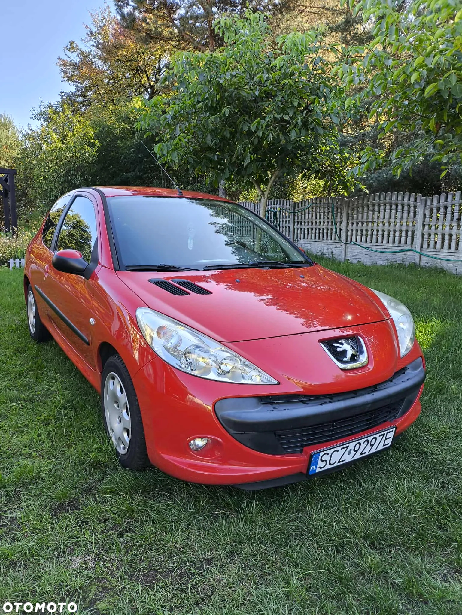 Peugeot 206 plus - 14