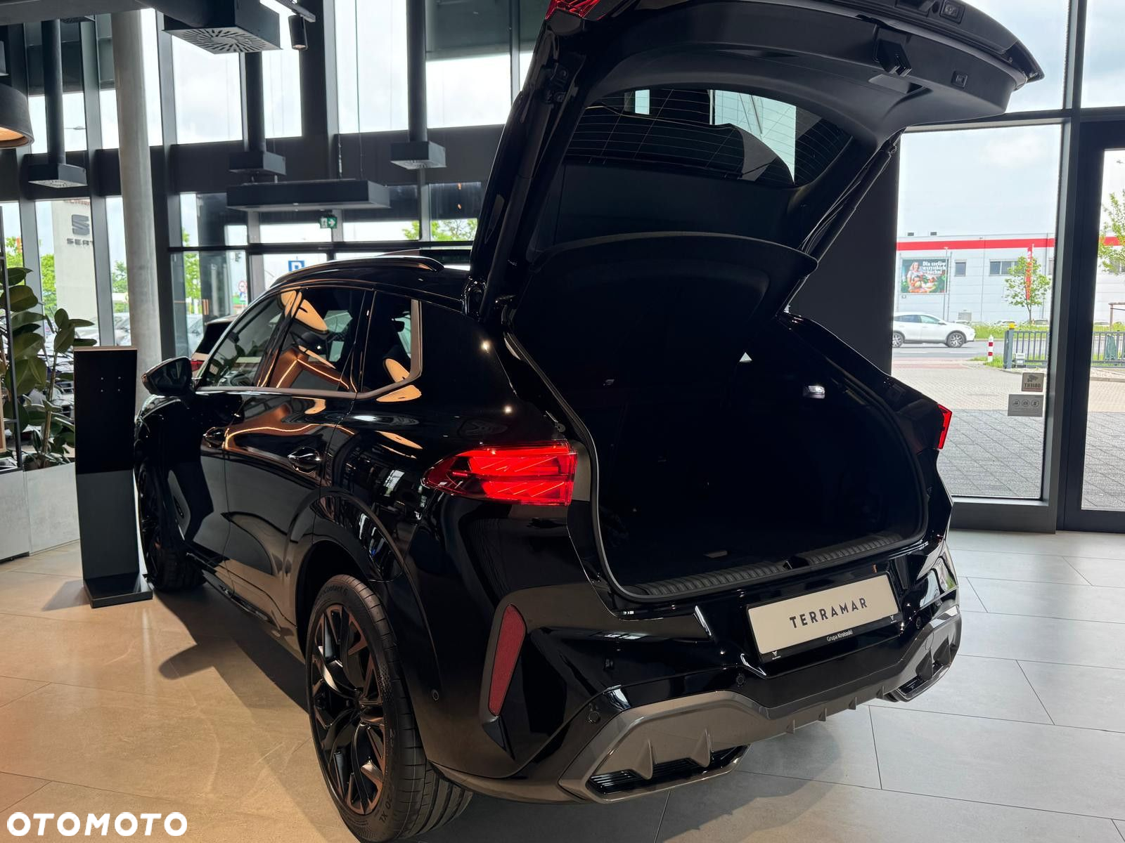 Cupra Terramar - 10