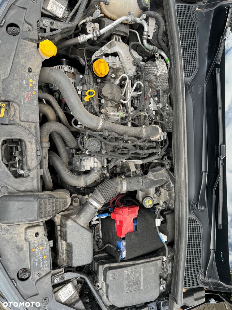 Renault Clio - 20