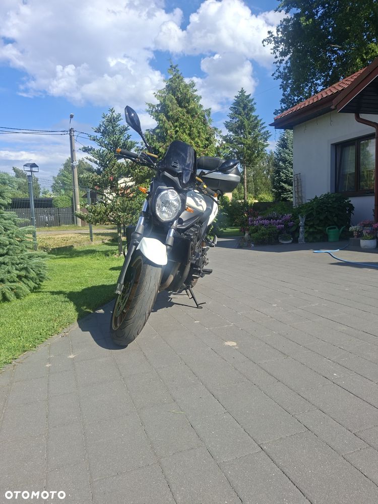Suzuki Bandit - 14