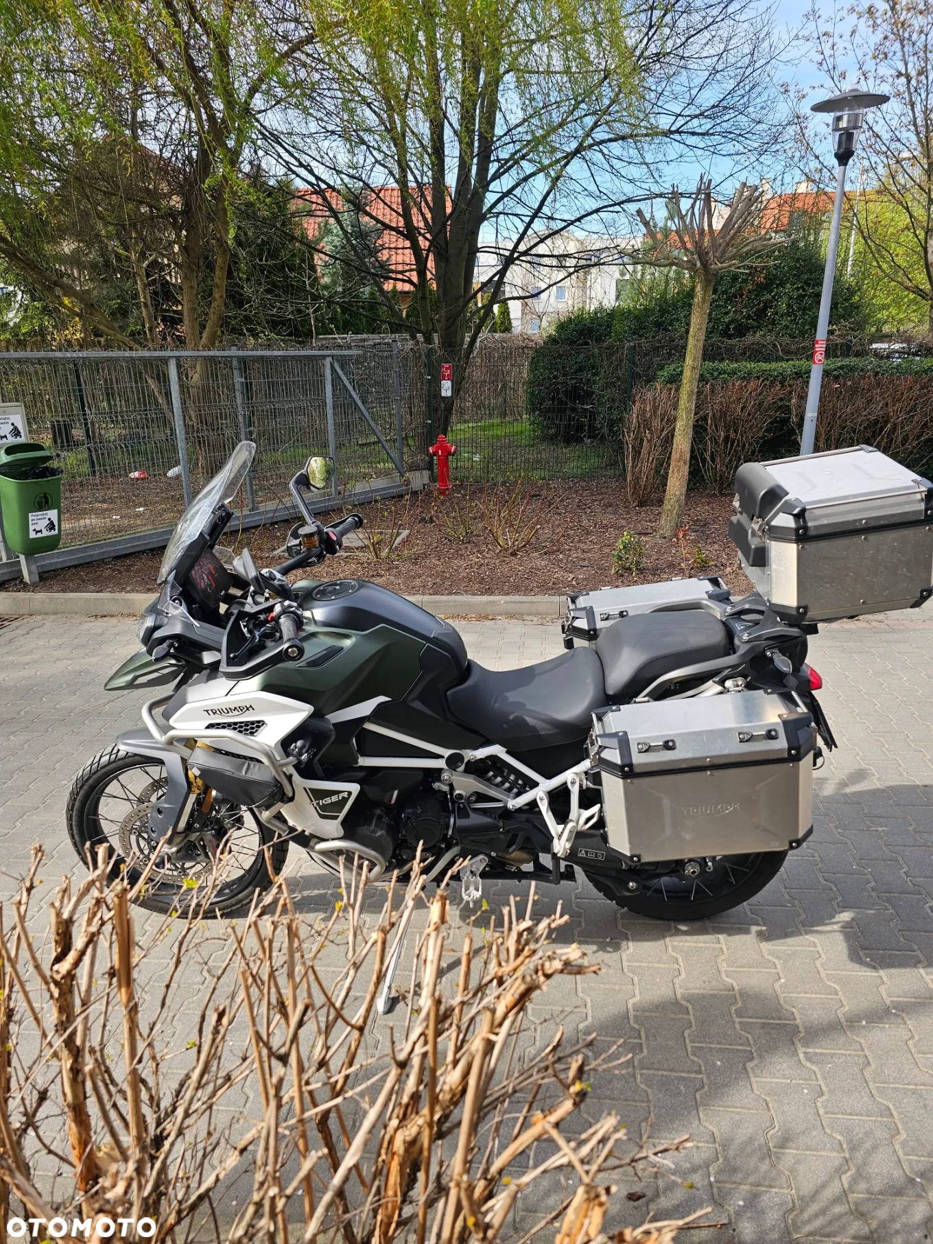 Triumph Tiger - 7