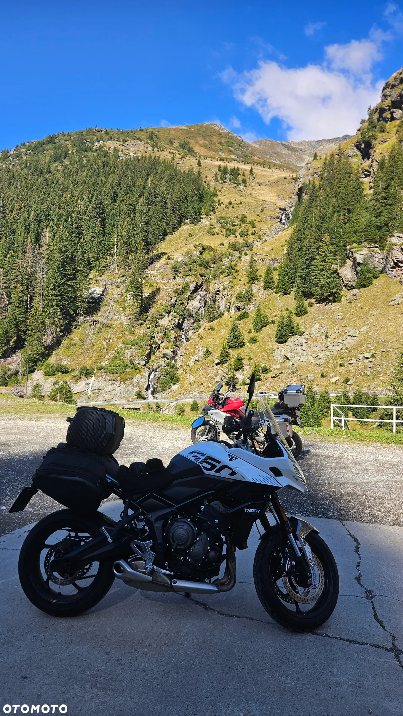 Triumph Tiger - 13