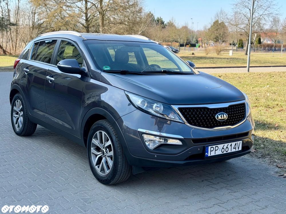 Kia Sportage - 1