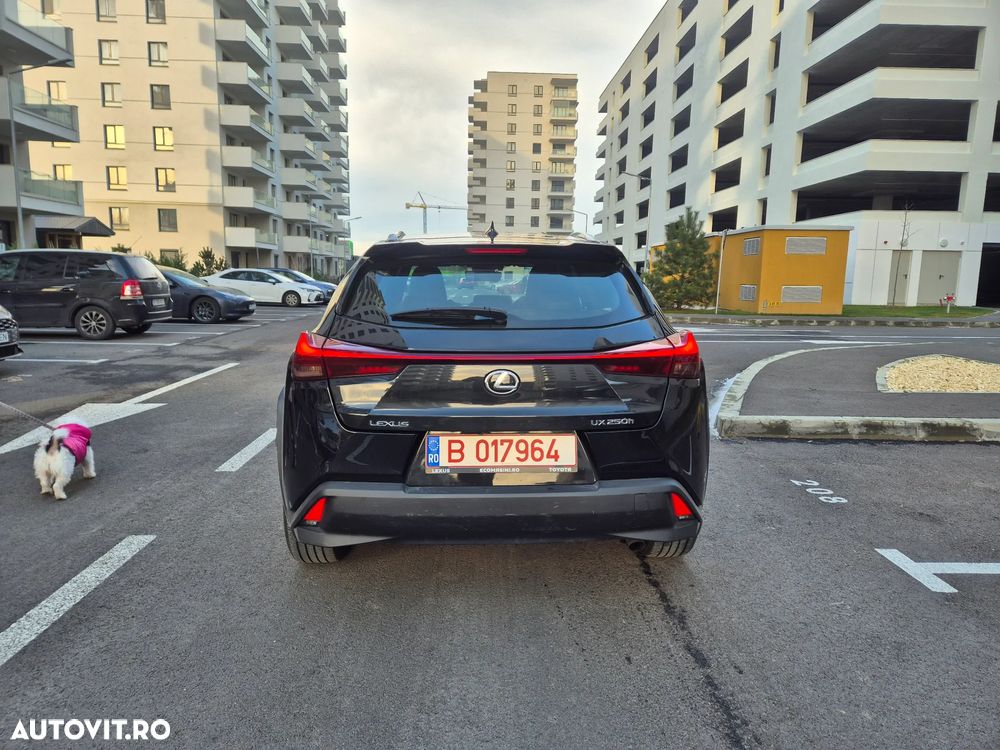 Lexus UX 250h Business Edition - 7
