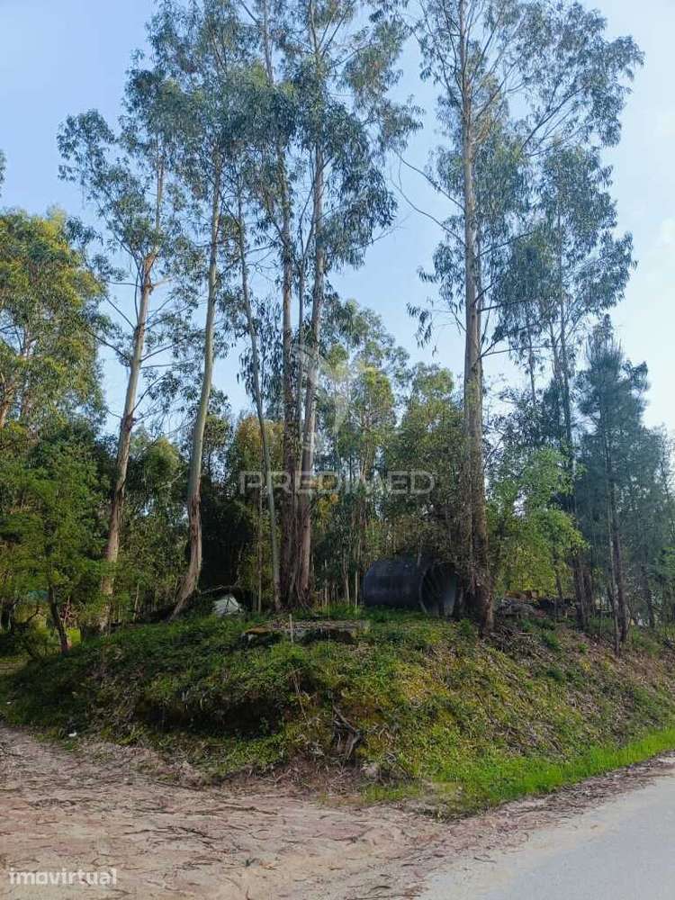 Terreno com 2850m2 para construção de uma moradia em Gondemaria - Grande imagem: 2/17