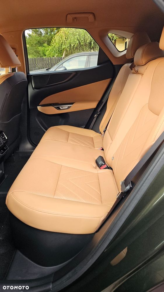 Lexus NX 450h+ Omotenashi AWD - 16