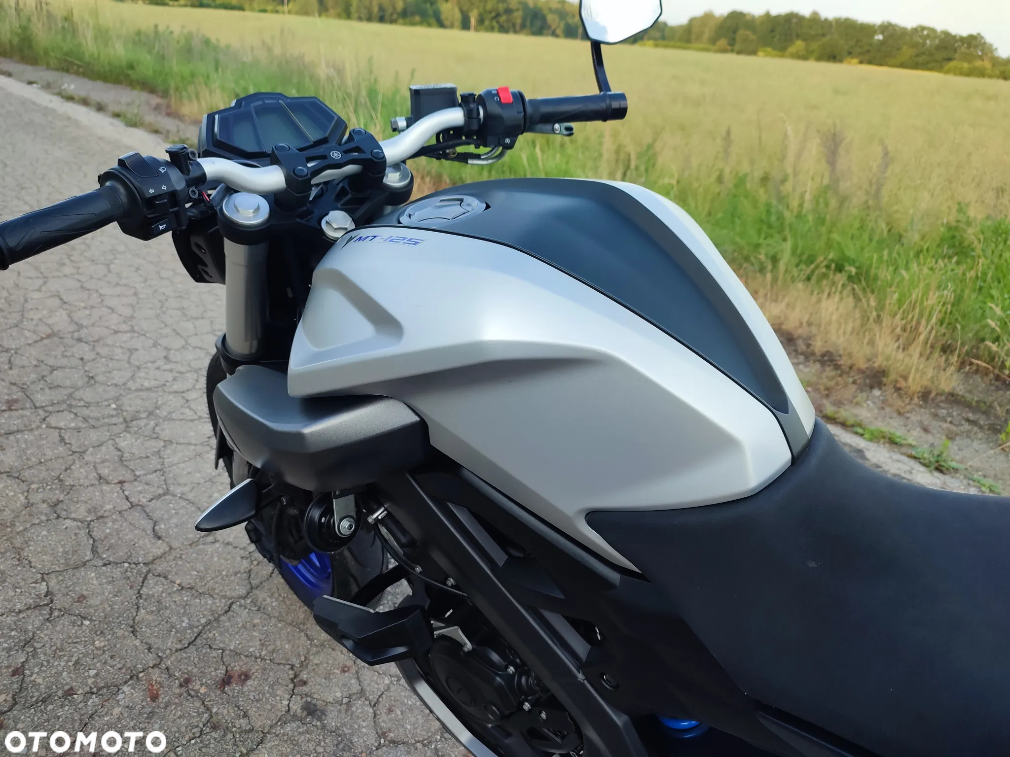 Yamaha MT - 8