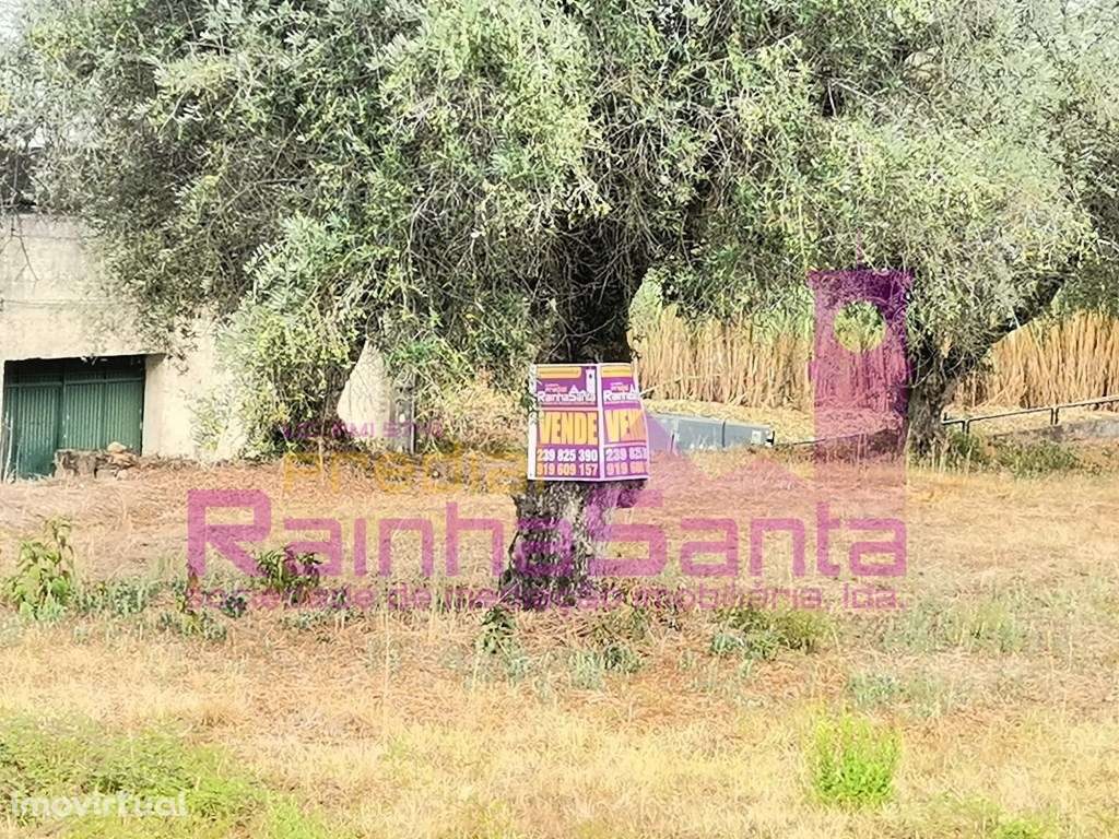 Terreno com informação prévia para moradia - Grande imagem: 2/11