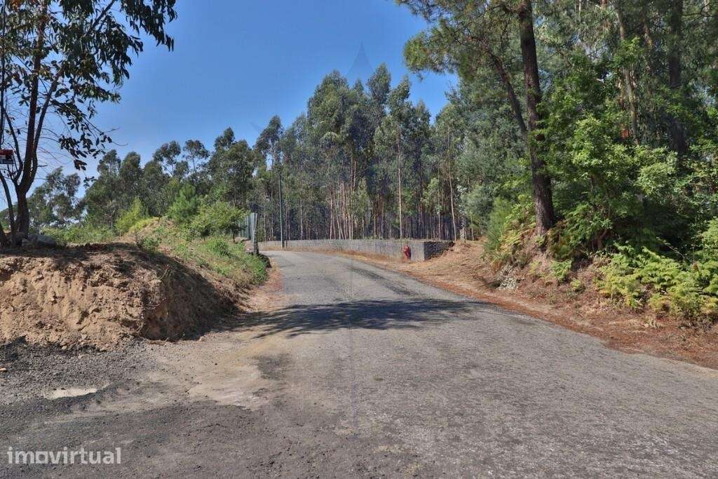 Terreno rústico em Goães, Vila Verde - Com 6030m2 - Grande imagem: 5/25