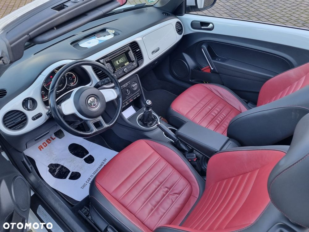 Volkswagen Beetle - 17