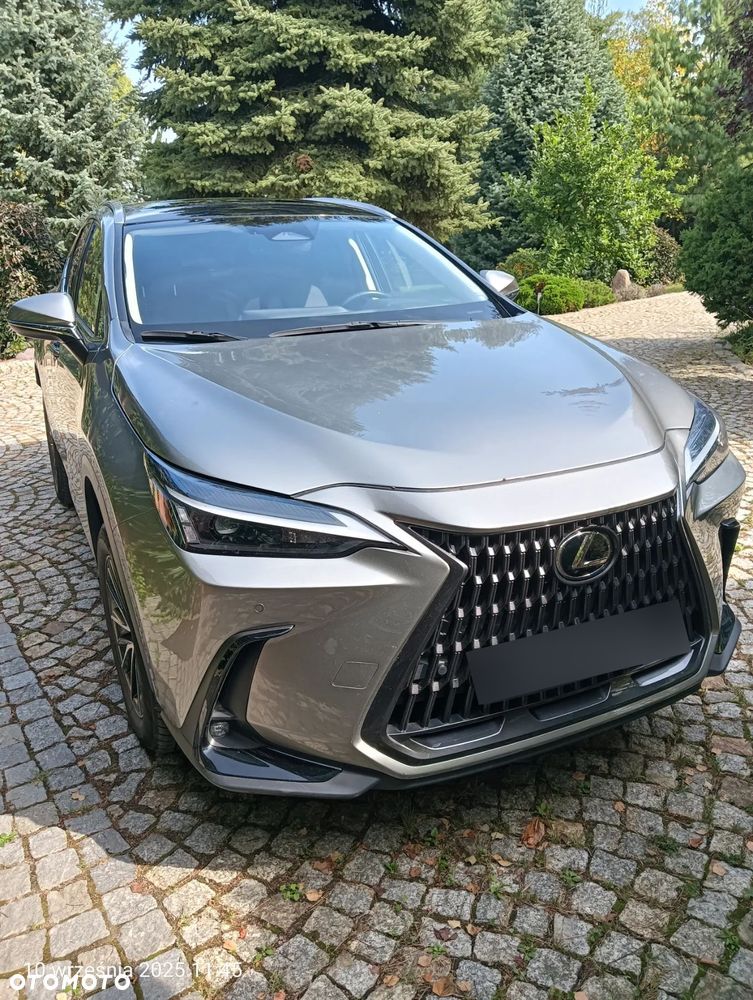Lexus NX 350h Prestige AWD - 35