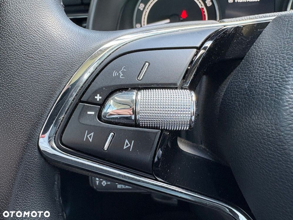 Skoda Kamiq 1.0 TSI Ambition DSG - 21