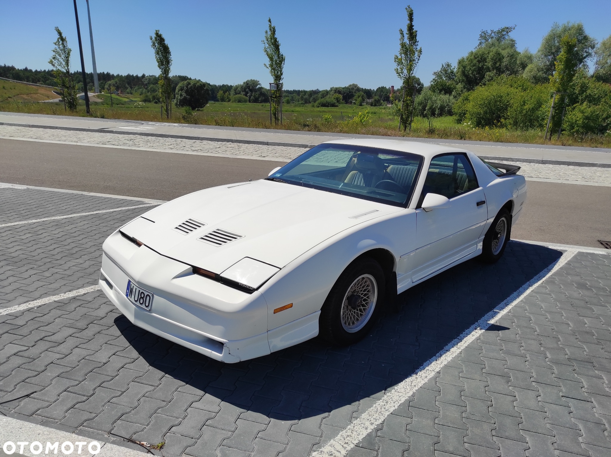Pontiac Firebird - 13