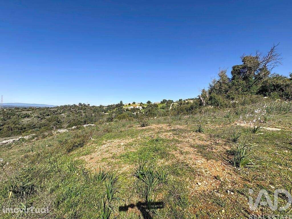 Terreno Agrícola em Algoz e Tunes - Grande imagem: 4/12