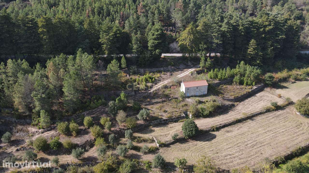 Quintinha próximo de Fornos de Algodres - Grande imagem: 2/9
