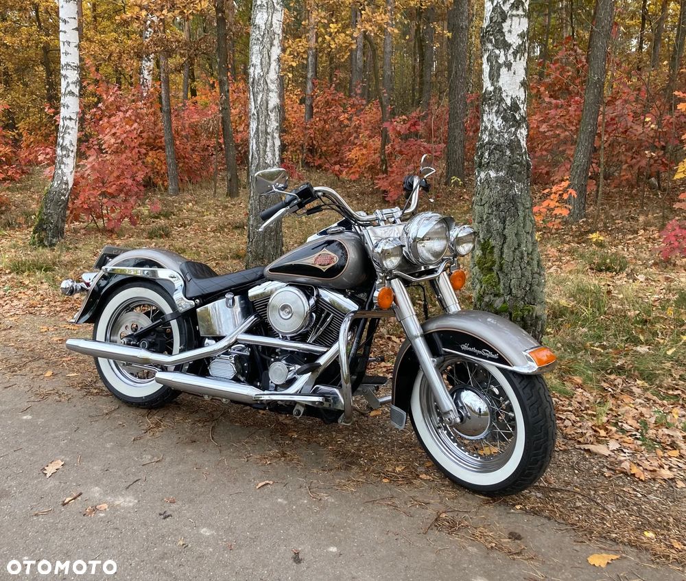 Harley-Davidson Softail Heritage Classic - 10
