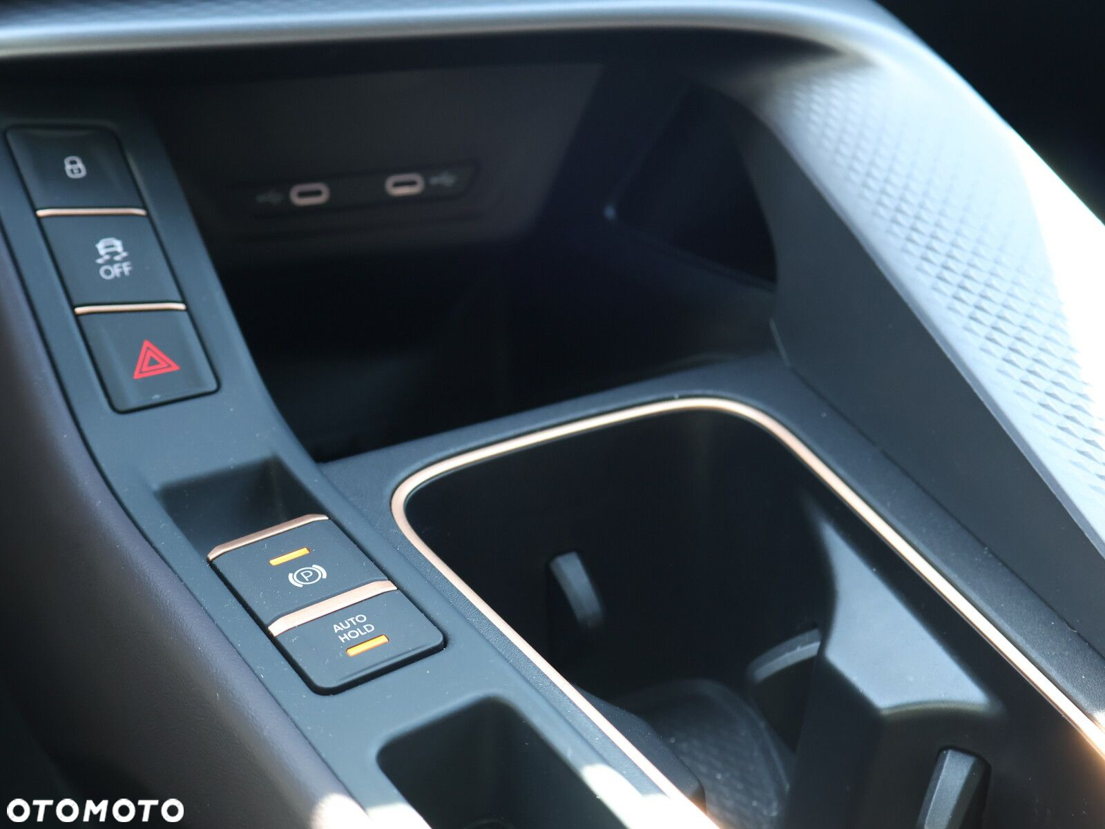 Cupra Terramar - 19