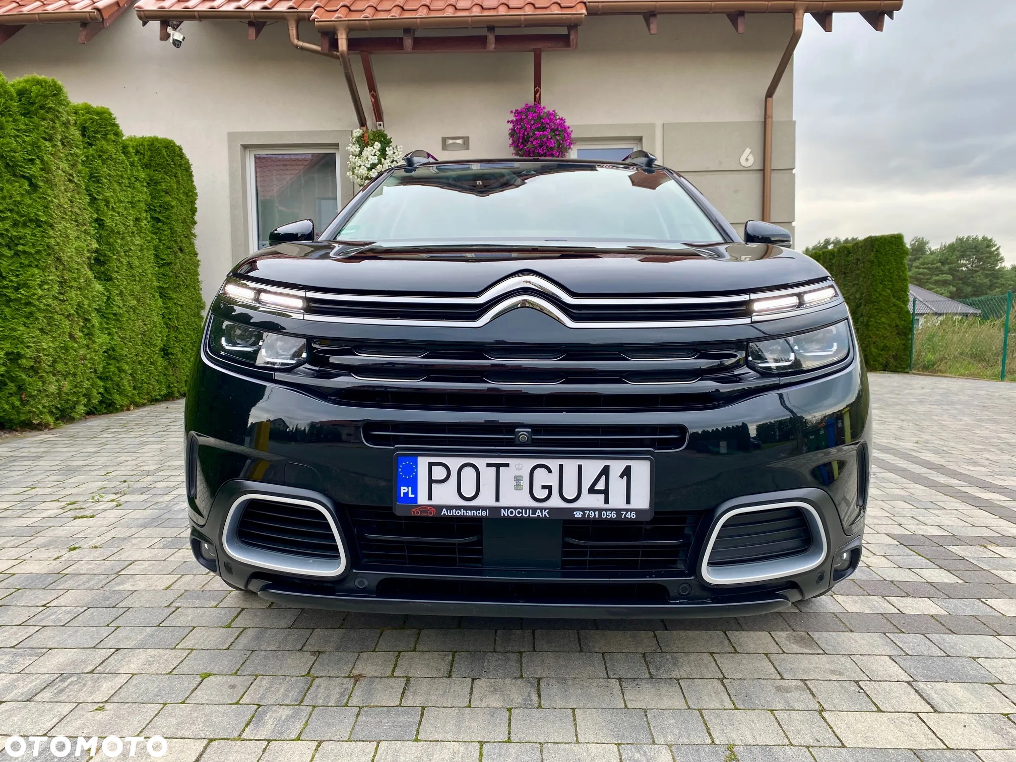 Citroën C5 Aircross BlueHDI 180 S&S EAT8 SHINE - 2