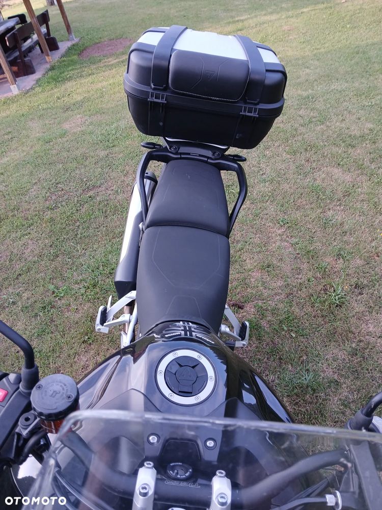 Triumph Tiger - 14