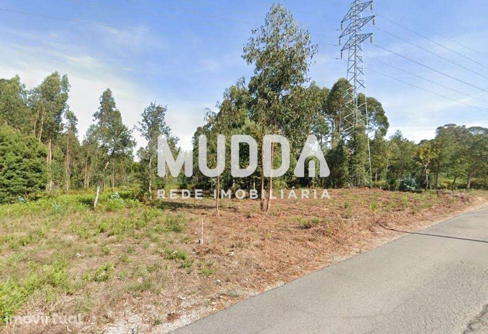 Terreno com 4200m2 em Guetim - Espinho - Grande imagem: 2/3