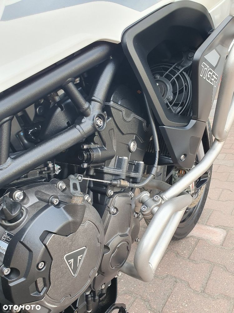 Triumph Tiger - 14
