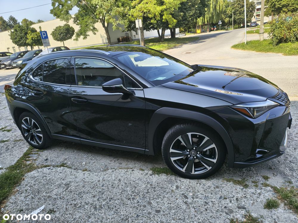 Lexus UX 250h GPF Business 2WD - 2