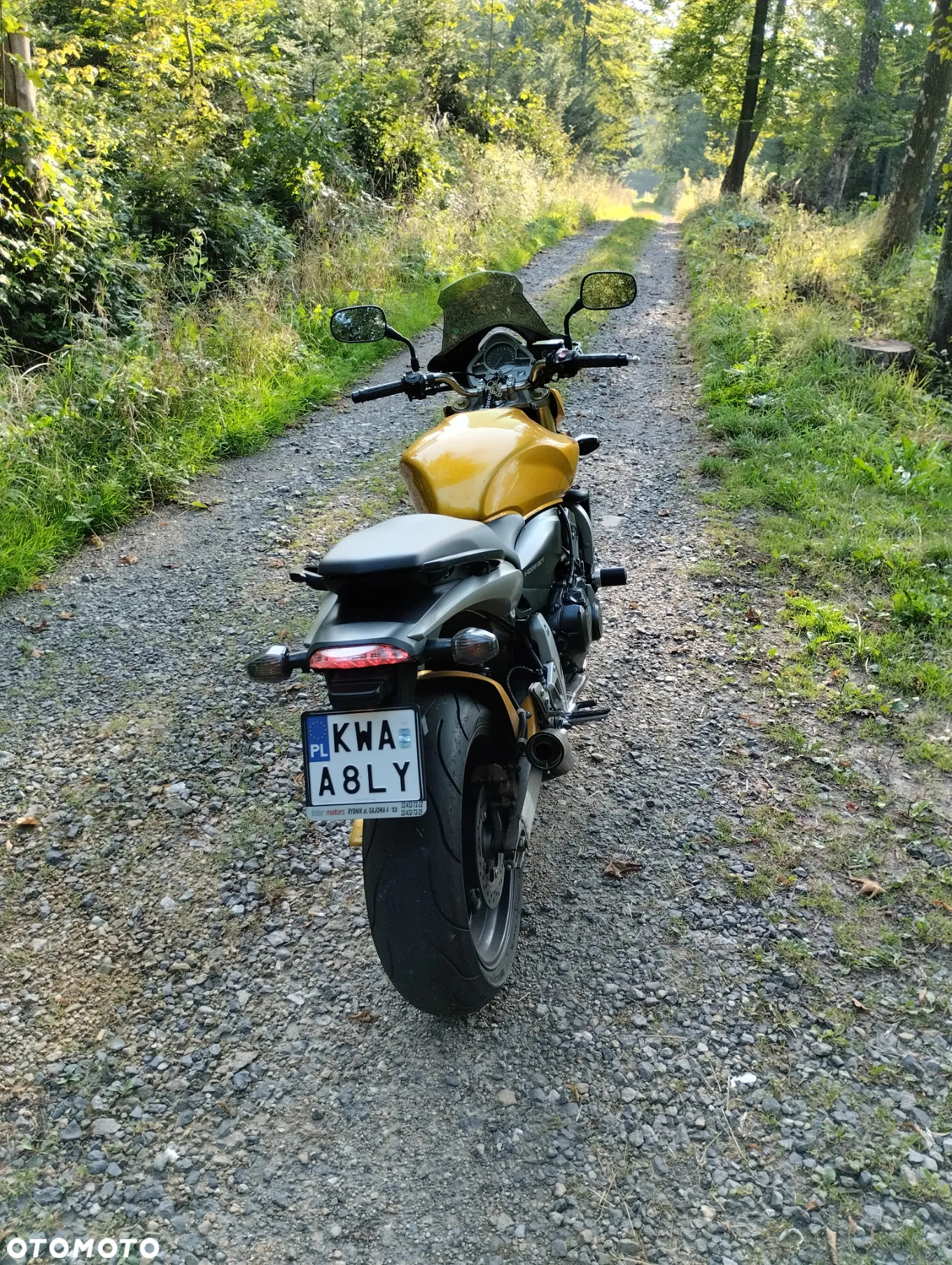 Honda Hornet - 13