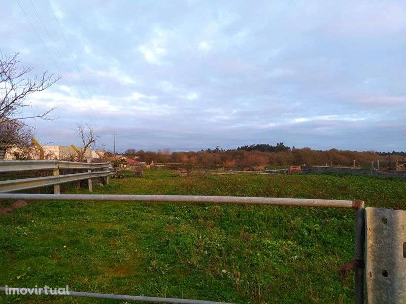 Vacaria com casa de habitação - Grande imagem: 4/8