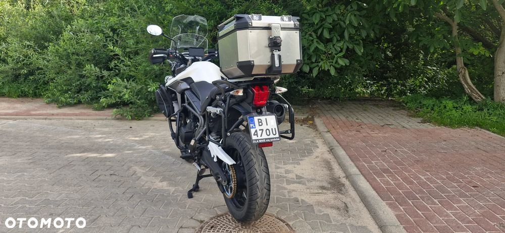 Triumph Tiger - 39