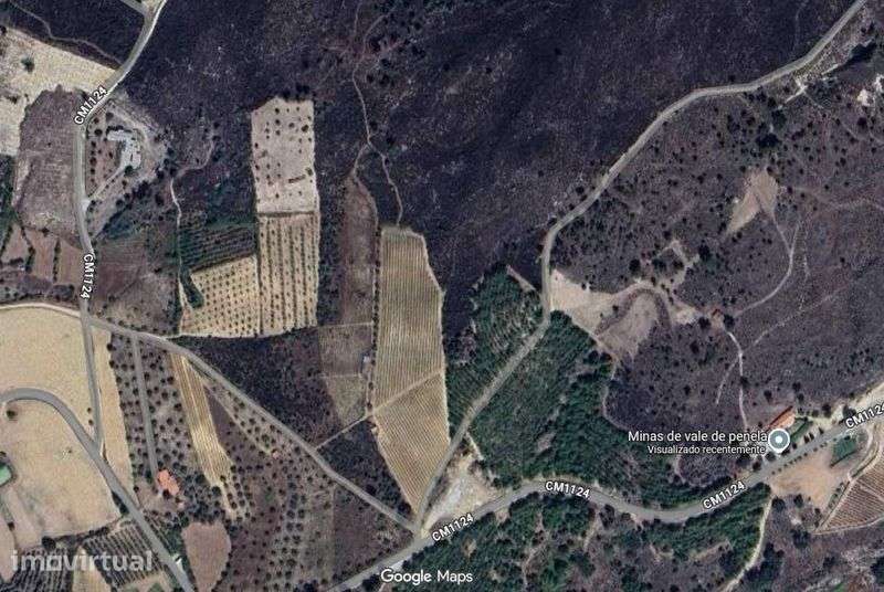 Terreno Agrícola com Vinha Registada, Casa de Apoio e Água - Grande imagem: 4/4