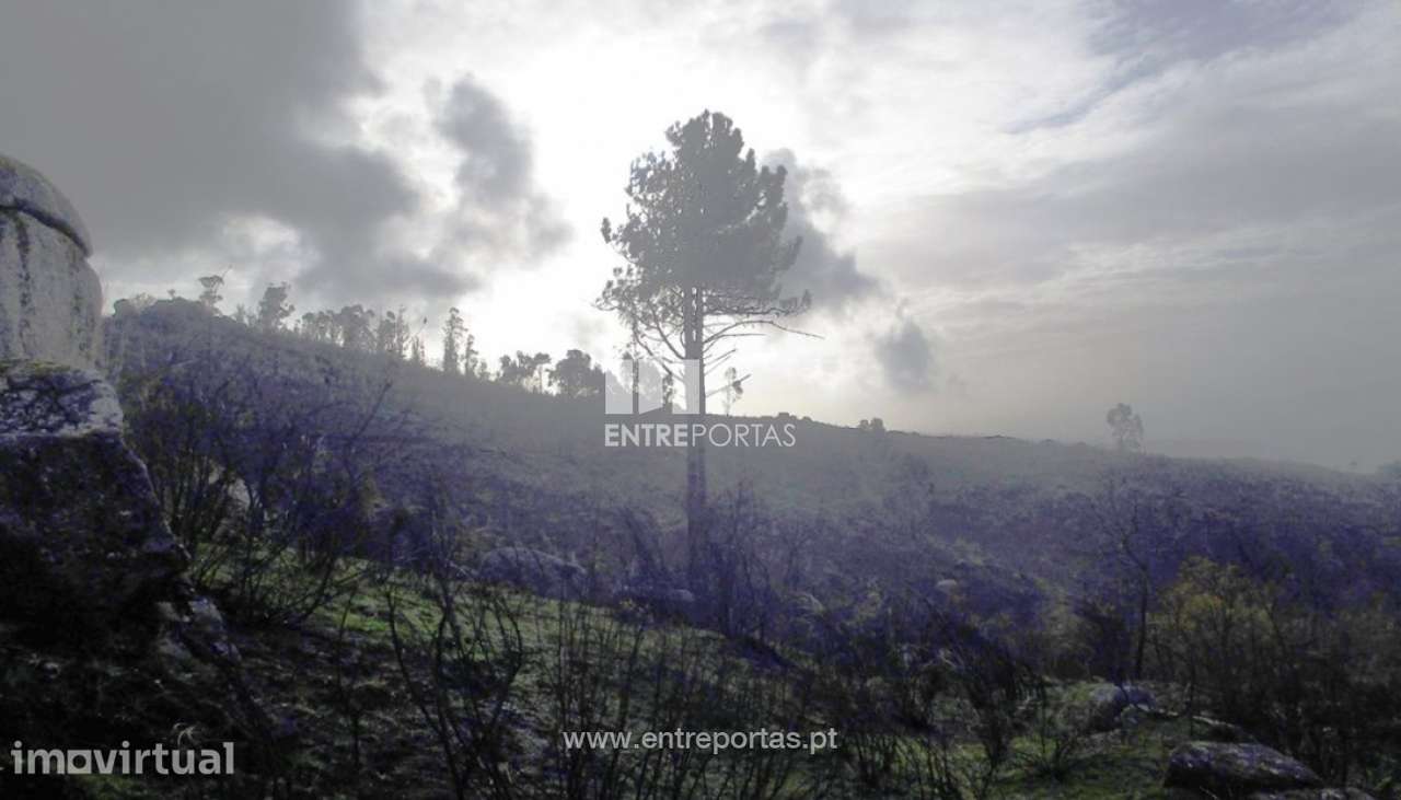 Venda Terreno, Folhada, Marco de Canaveses - Grande imagem: 5/9