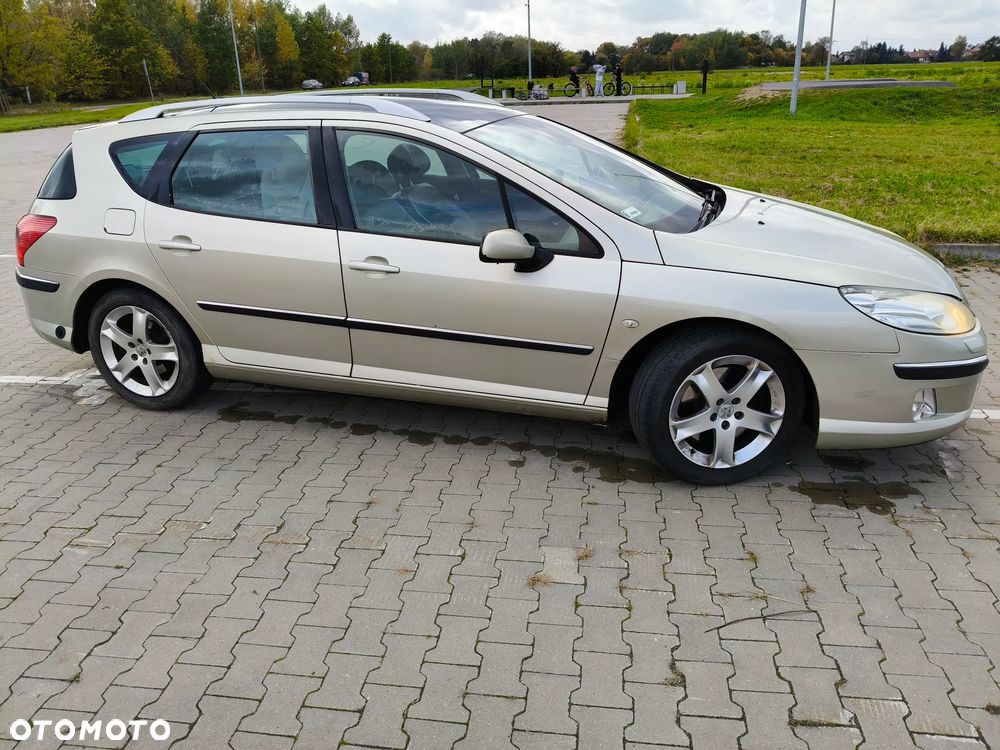 Peugeot 407 2006 photo 4