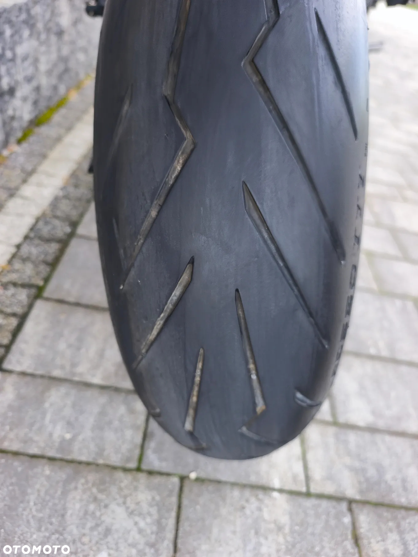 Triumph Tiger - 24