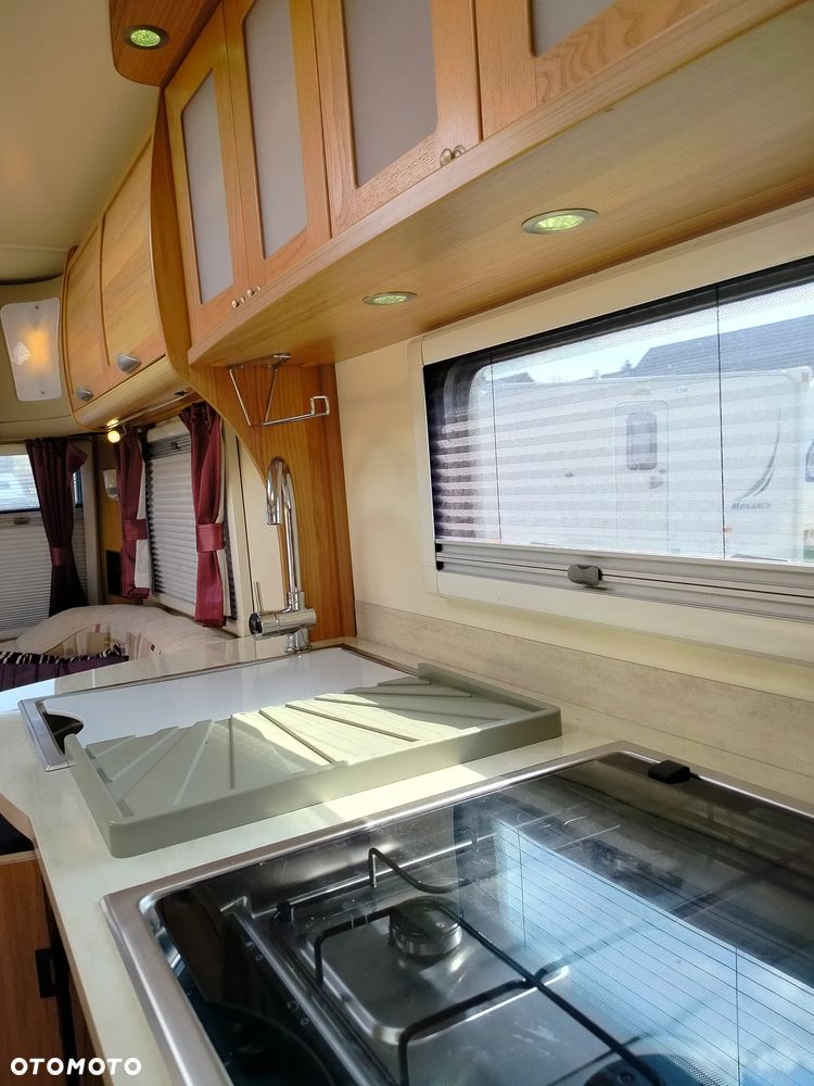 Bailey Unicorn Valencia - 20