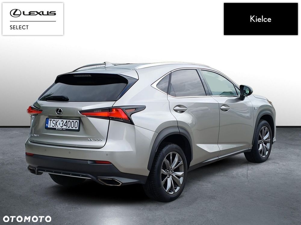 Lexus NX - 6