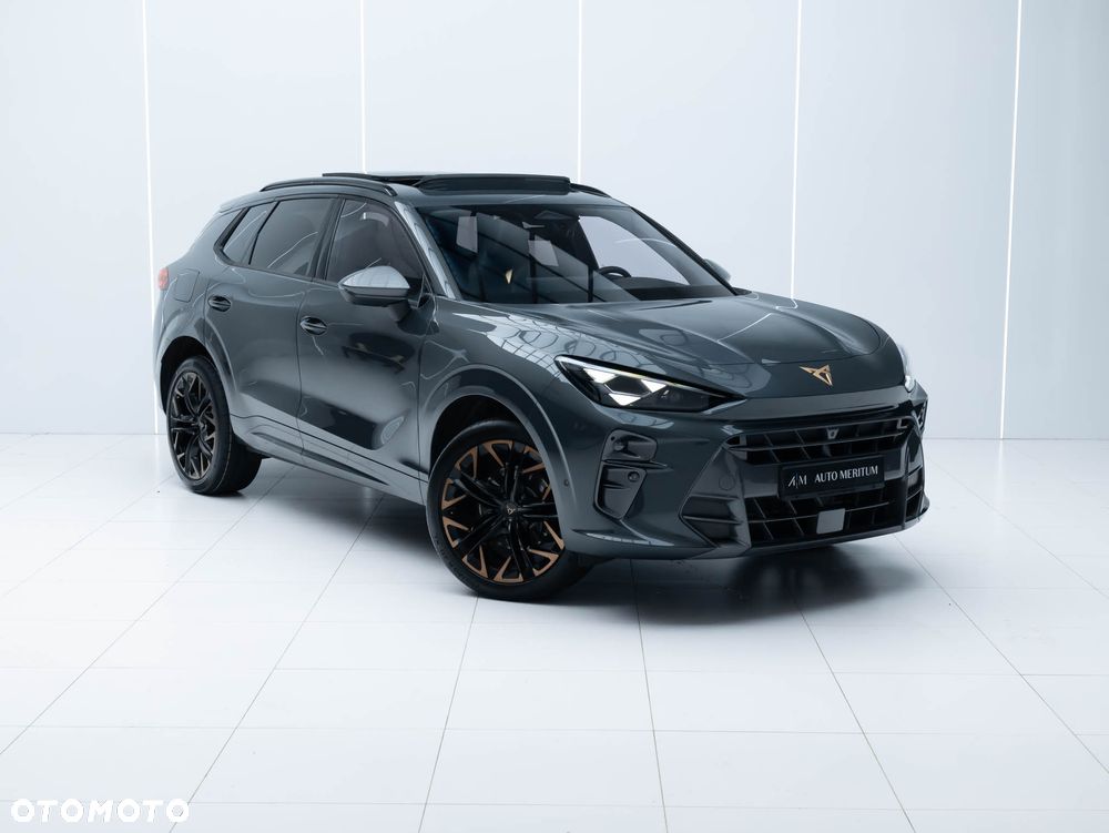 Cupra Terramar 2.0 TSI 4Drive DSG VZ - 2