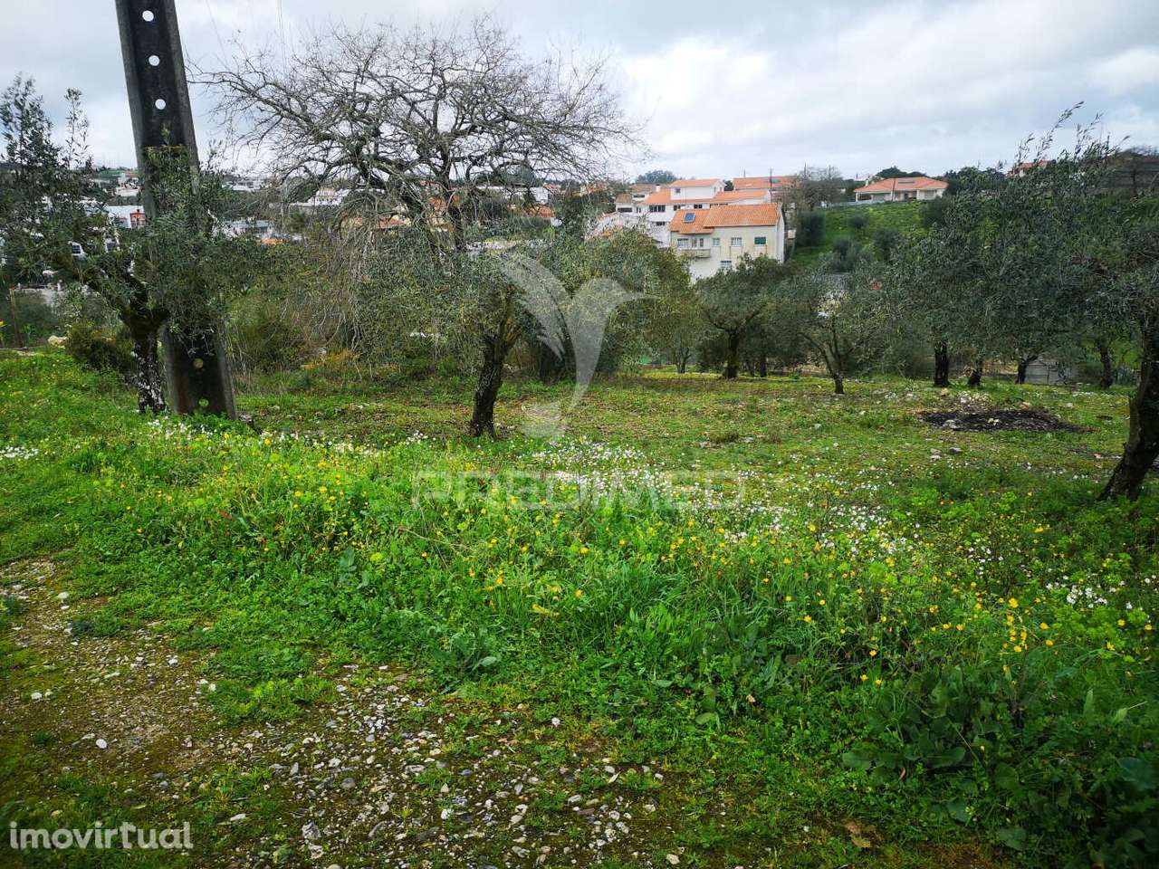 Terreno Rústico Urbanizável em Santa Catarina da Serra e Chainça - Grande imagem: 5/9