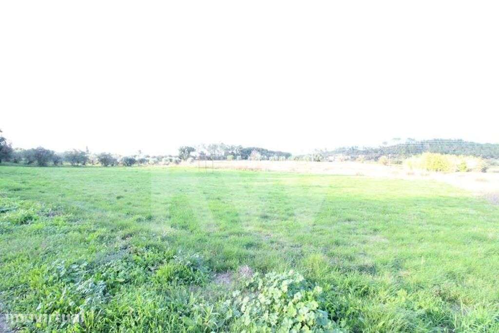 Terreno para construção com 7600m2 | Possibilidade de loteamento | Sou - Grande imagem: 2/16