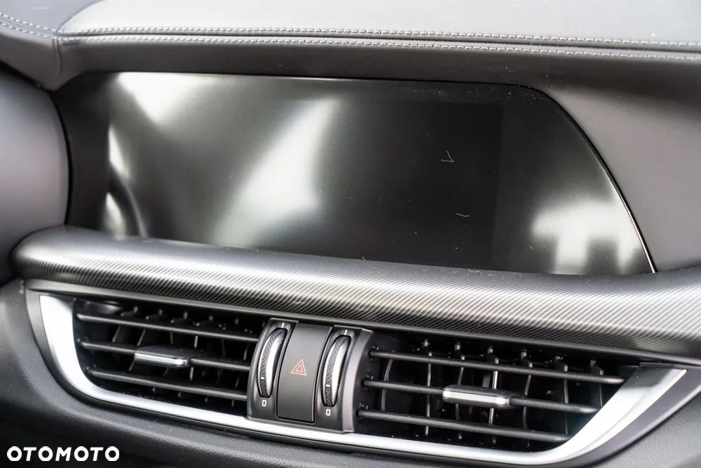 Alfa Romeo Stelvio 2.0 Turbo Veloce Q4 - 36