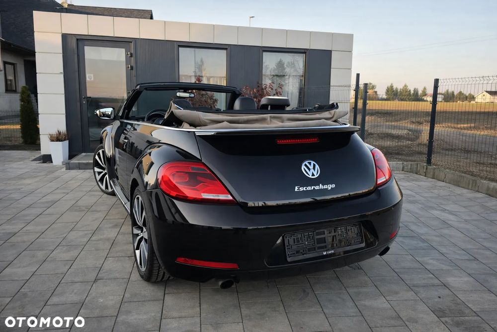 Volkswagen Beetle - 5