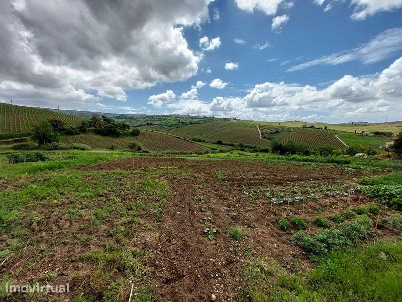 Terreno Urbano para Construção de Moradia - Alenquer/Arruda dos Vinhos - Grande imagem: 2/9