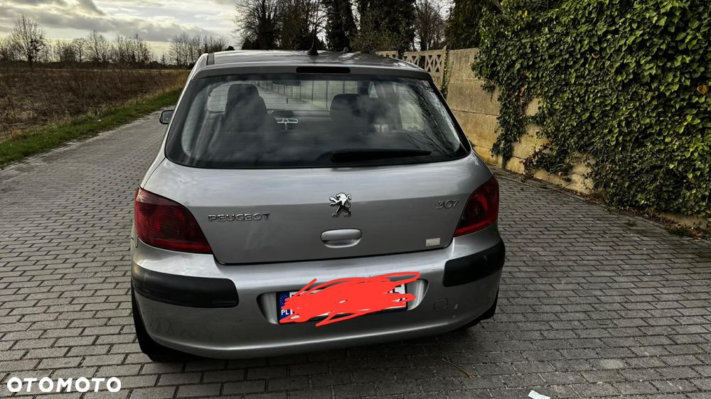 Peugeot 307 1.4 Mistral - 2