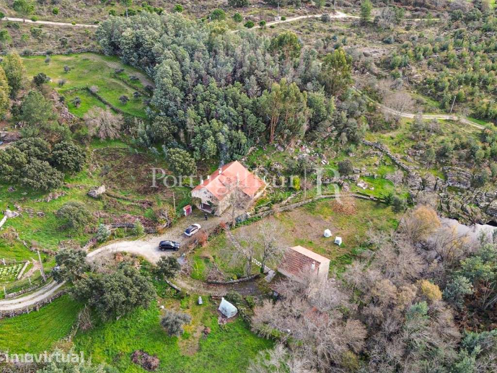 Quinta com 7.400 m² e 2 casas, confinante com a ribeira, em Alcains - Grande imagem: 4/45