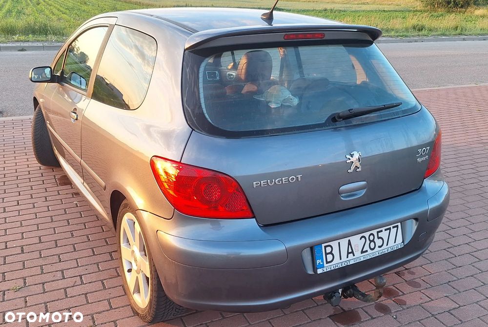 Peugeot 307 2.0 Sporty - 11
