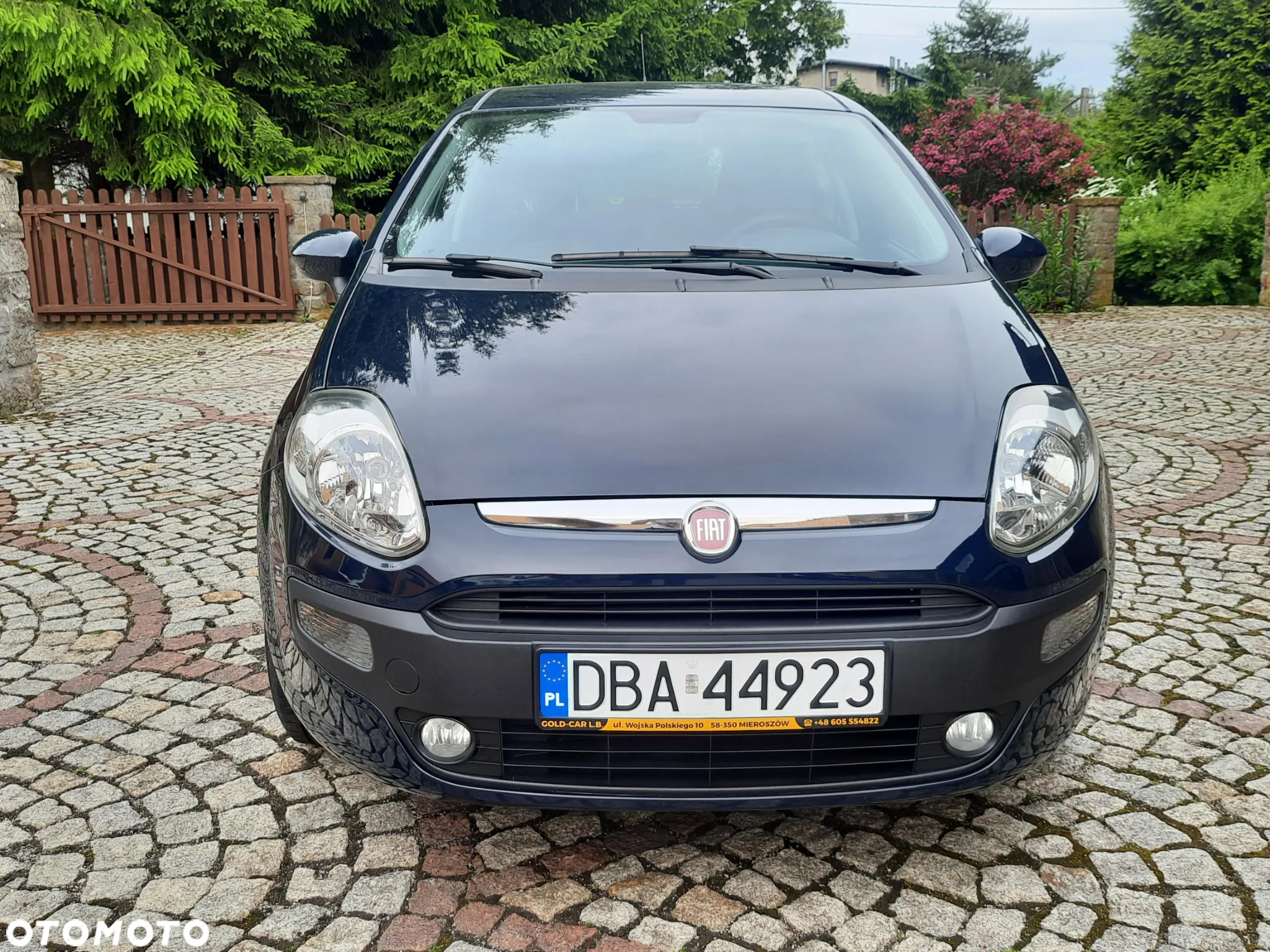 Fiat Punto Evo 1.2 8V Mylife - 9