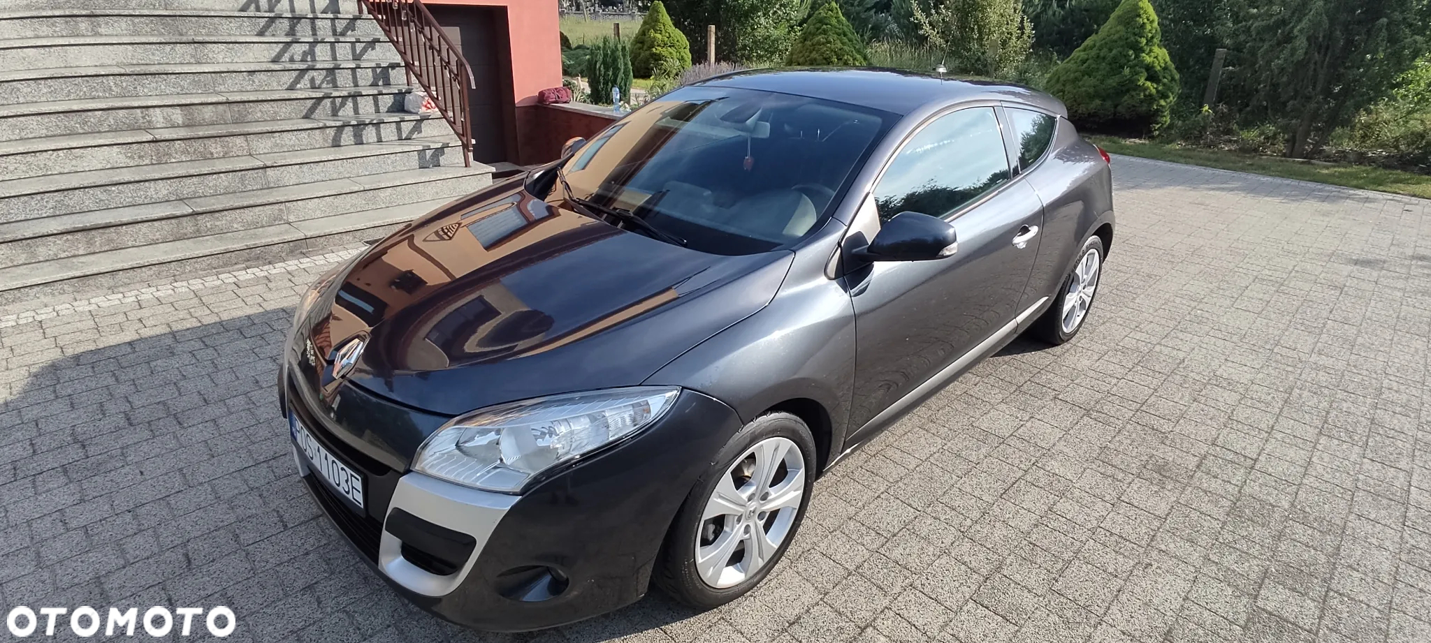 Renault Megane - 14