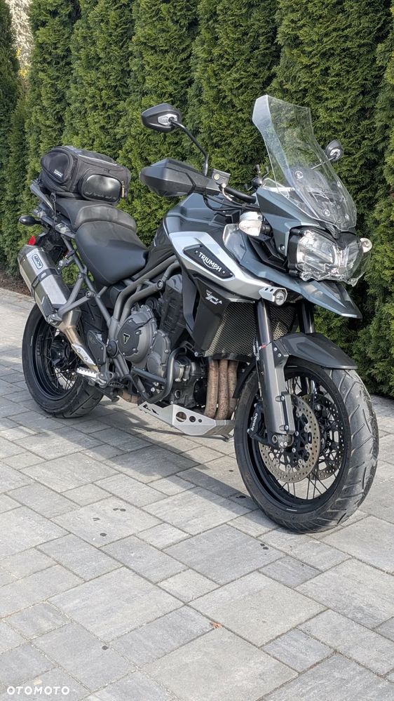Triumph Tiger - 6